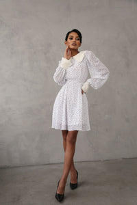 Crepe Chiffon Dress with Turndown Collar and Cuffs 